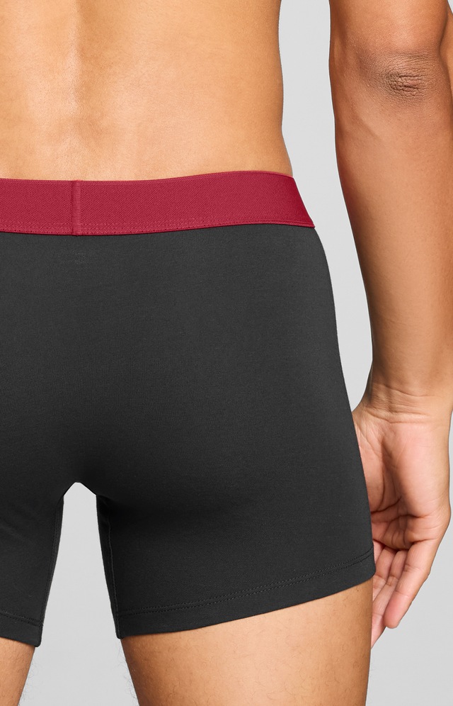 Levi's® Boxershorts »LEVIS MEN TWILL WB BOXER BRIEF 2P« ohne Eingriff, Stretchbund