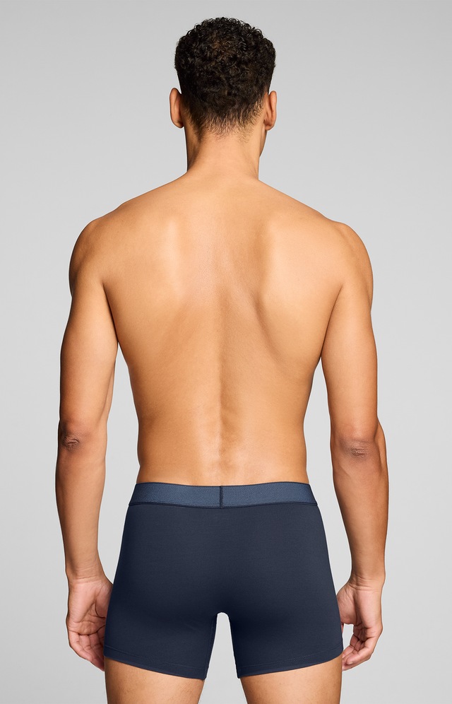 Levi's® Boxershorts »LEVIS MEN TWILL WB BOXER BRIEF 2P« ohne Eingriff, Stretchbund