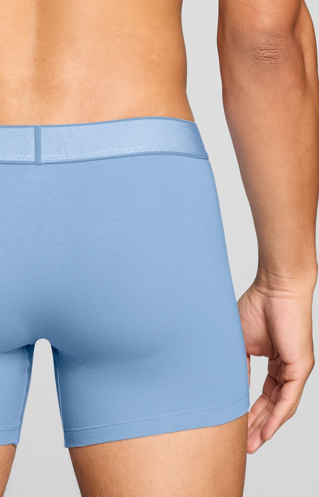 Levi's® Boxershorts »LEVIS MEN TWILL WB BOXER BRIEF 2P« ohne Eingriff, Stretchbund