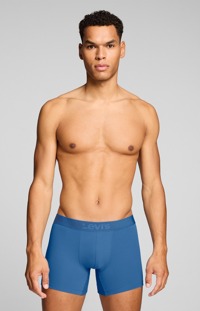 Levi's® Boxershorts »LEVIS MEN TWILL WB BOXER BRIEF 2P« ohne Eingriff, Stretchbund