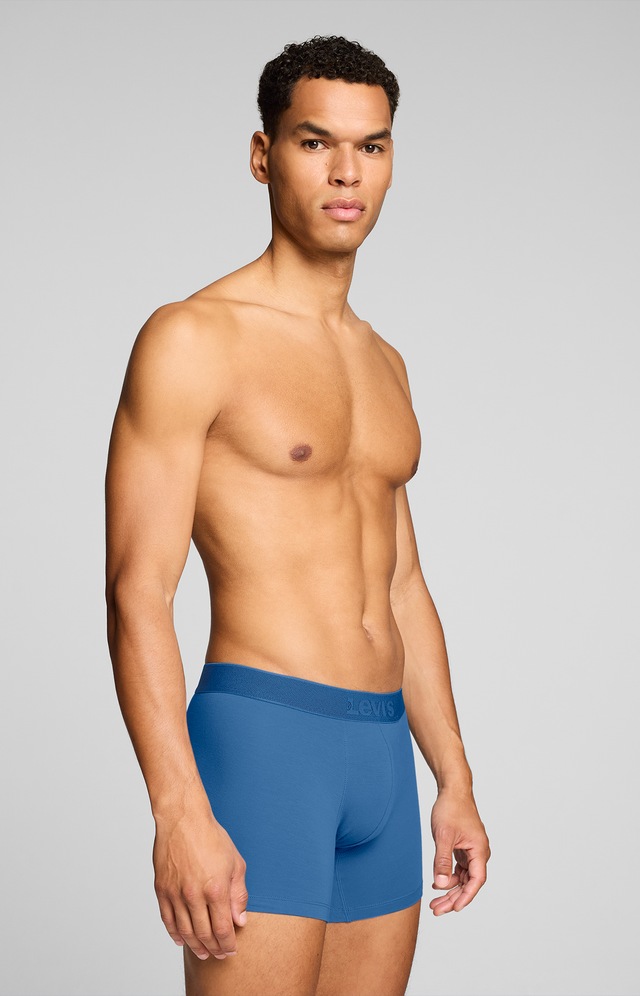 Levi's® Boxershorts »LEVIS MEN TWILL WB BOXER BRIEF 2P« ohne Eingriff, Stretchbund