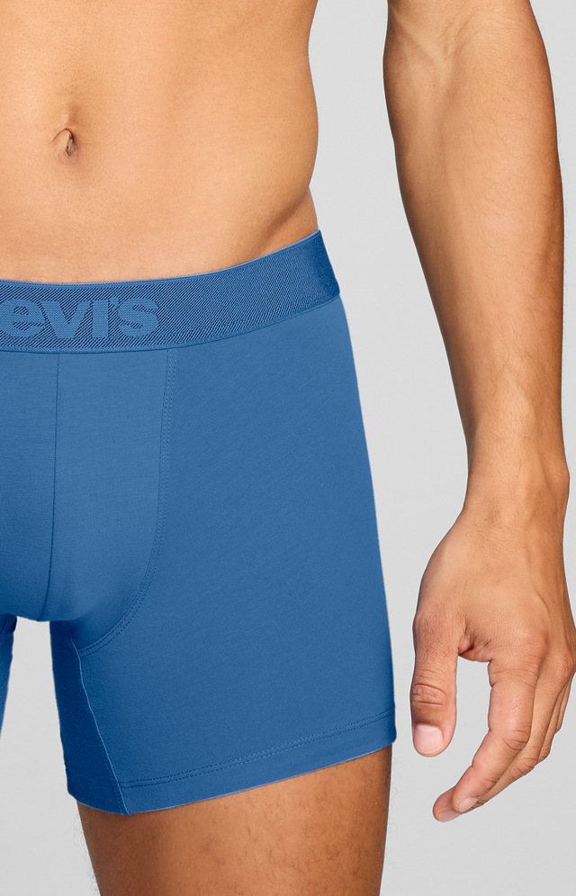 Levi's® Boxershorts »LEVIS MEN TWILL WB BOXER BRIEF 2P« ohne Eingriff, Stretchbund