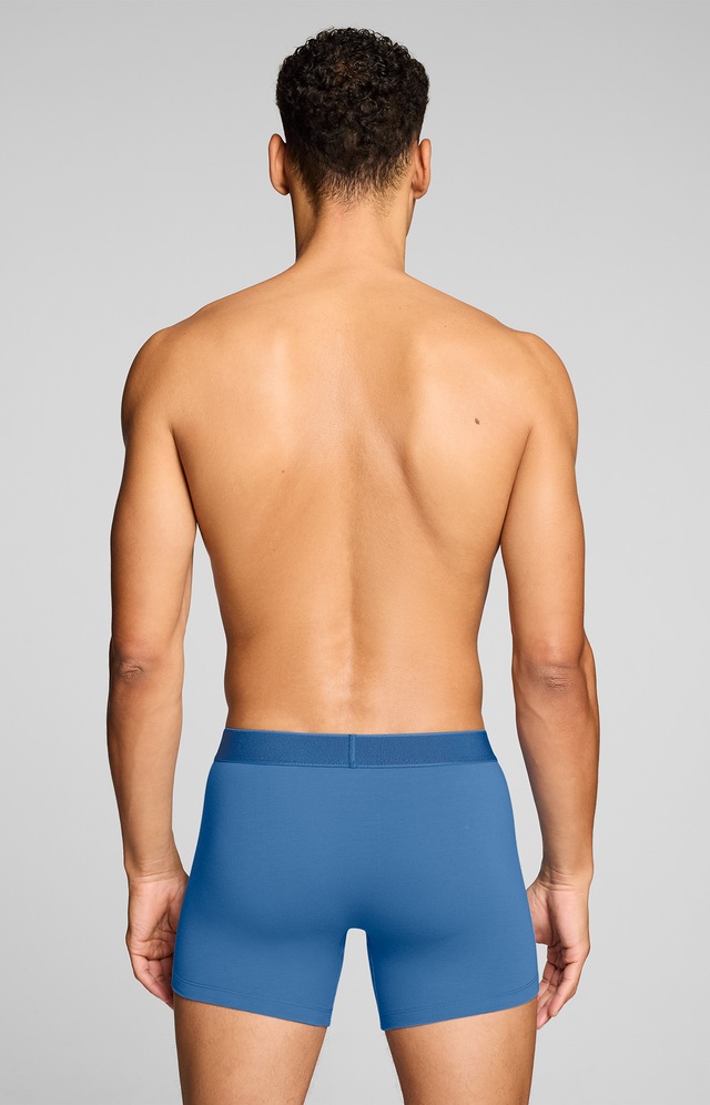 Levi's® Boxershorts »LEVIS MEN TWILL WB BOXER BRIEF 2P« ohne Eingriff, Stretchbund