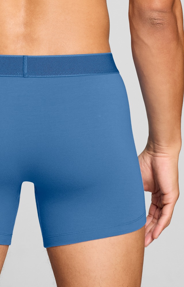 Levi's® Boxershorts »LEVIS MEN TWILL WB BOXER BRIEF 2P« ohne Eingriff, Stretchbund
