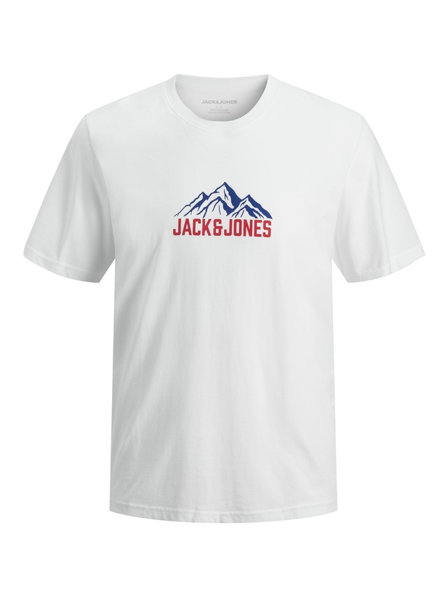 Jack & Jones T-Shirt »JJROCHE TEE SS CREW NECK« Baumwolle, regular fit