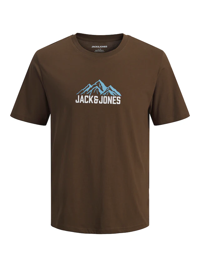 Jack & Jones T-Shirt »JJROCHE TEE SS CREW NECK« Baumwolle, regular fit