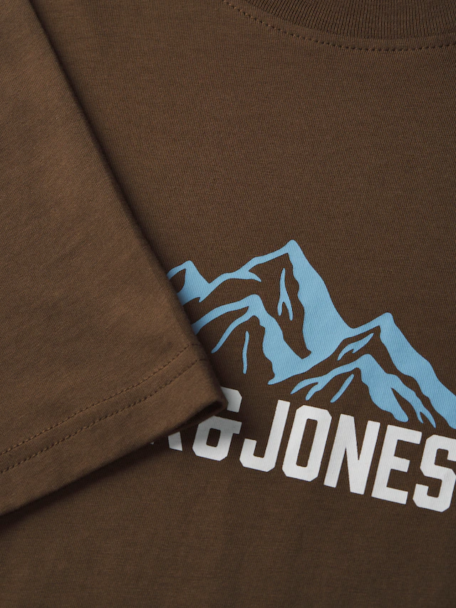 Jack & Jones T-Shirt »JJROCHE TEE SS CREW NECK« Baumwolle, regular fit