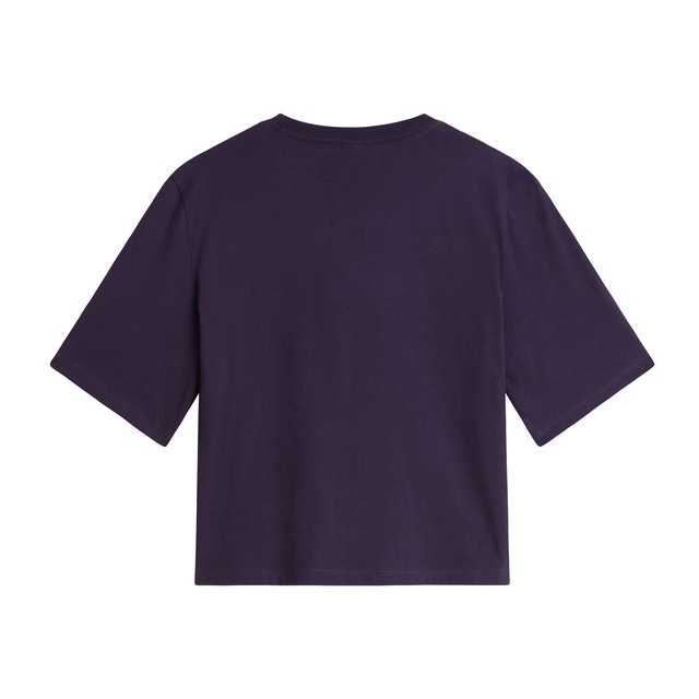 The North Face T-Shirt »W TNF ESSENTIAL SIMPLE DOME BOXY RLX SS TEE«