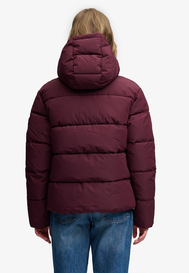 Superdry Steppjacke »PREMIUM HOOD PUFFER JKT« mit Kapuze Kunstfaser, relaxed fit