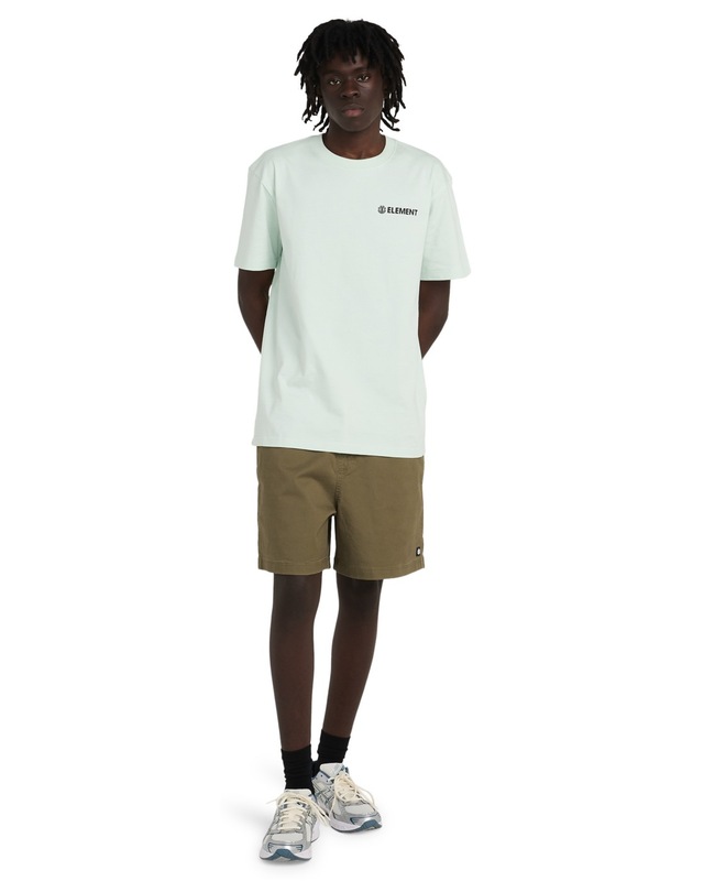 Element Chinoshorts »Regular Ewaist«