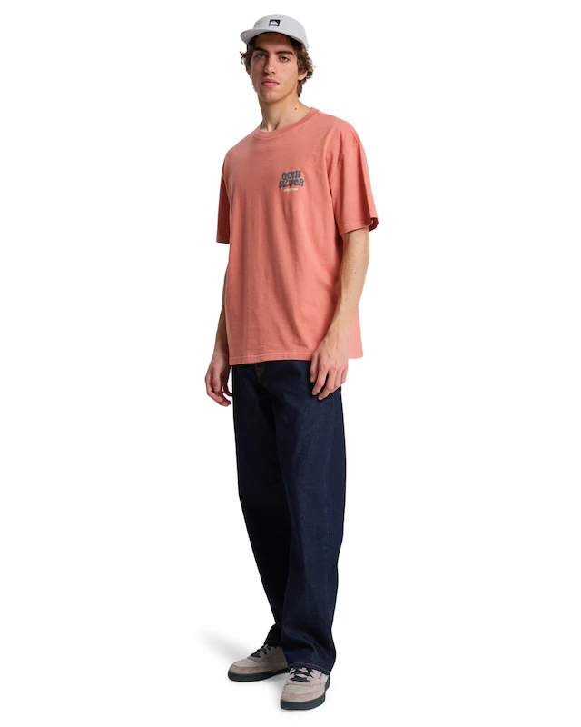 Quiksilver T-Shirt »Fruits Tide«