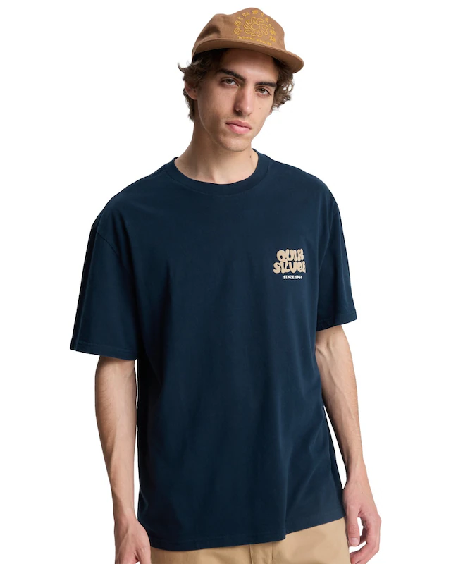Quiksilver T-Shirt »Fruits Tide«
