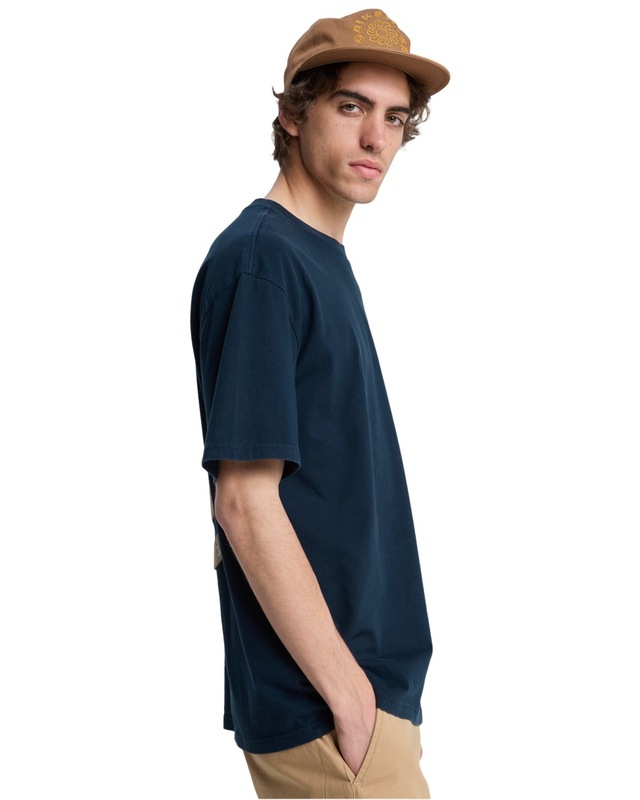 Quiksilver T-Shirt »Fruits Tide«