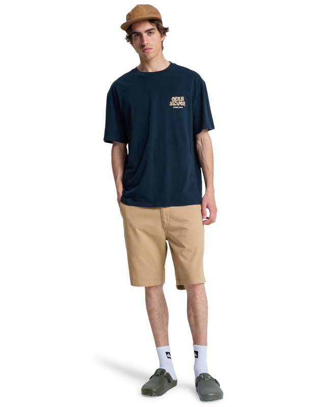 Quiksilver T-Shirt »Fruits Tide«