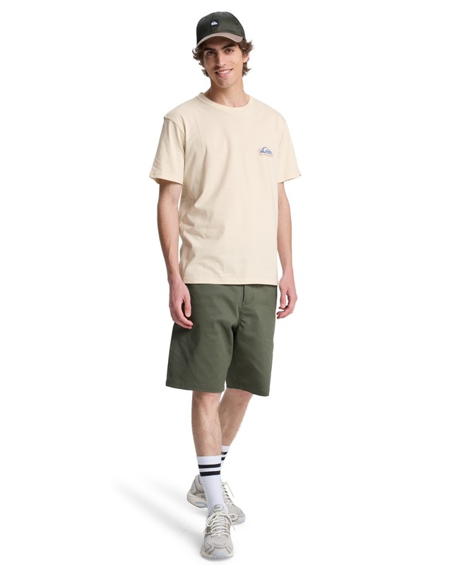 Quiksilver T-Shirt »EV Barrel Paradise«