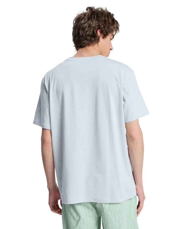 Quiksilver T-Shirt »EV Wild Worlds«