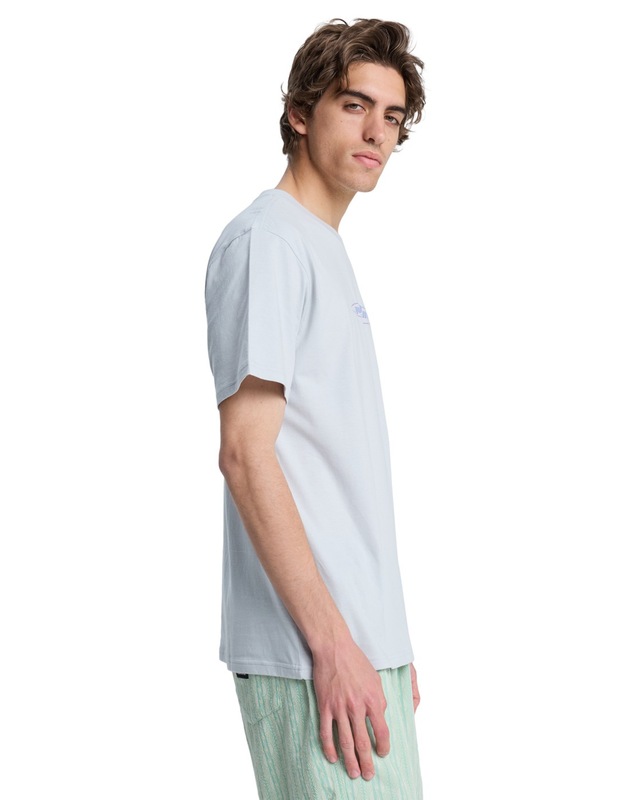 Quiksilver T-Shirt »EV Wild Worlds«