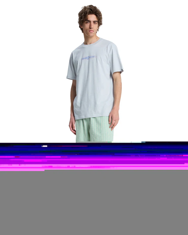 Quiksilver T-Shirt »EV Wild Worlds«