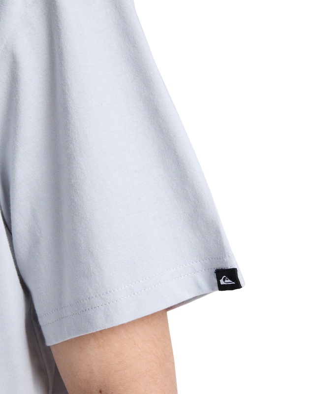 Quiksilver T-Shirt »EV Wild Worlds«