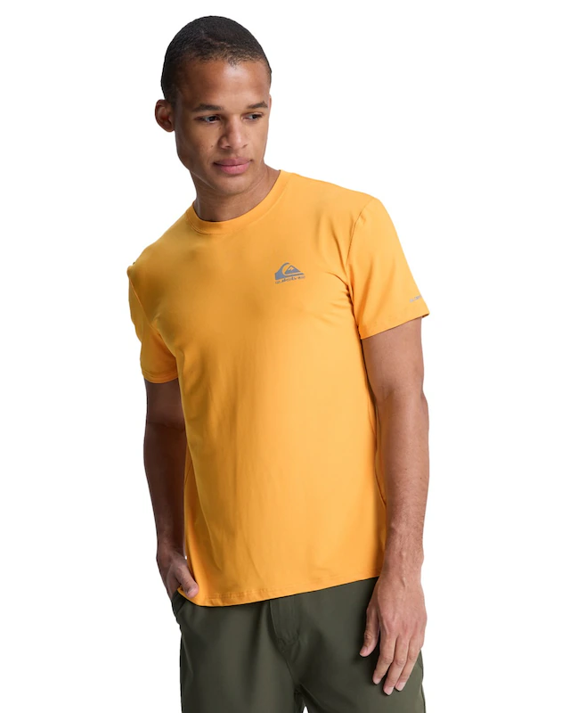 Quiksilver T-Shirt »Caecilian«