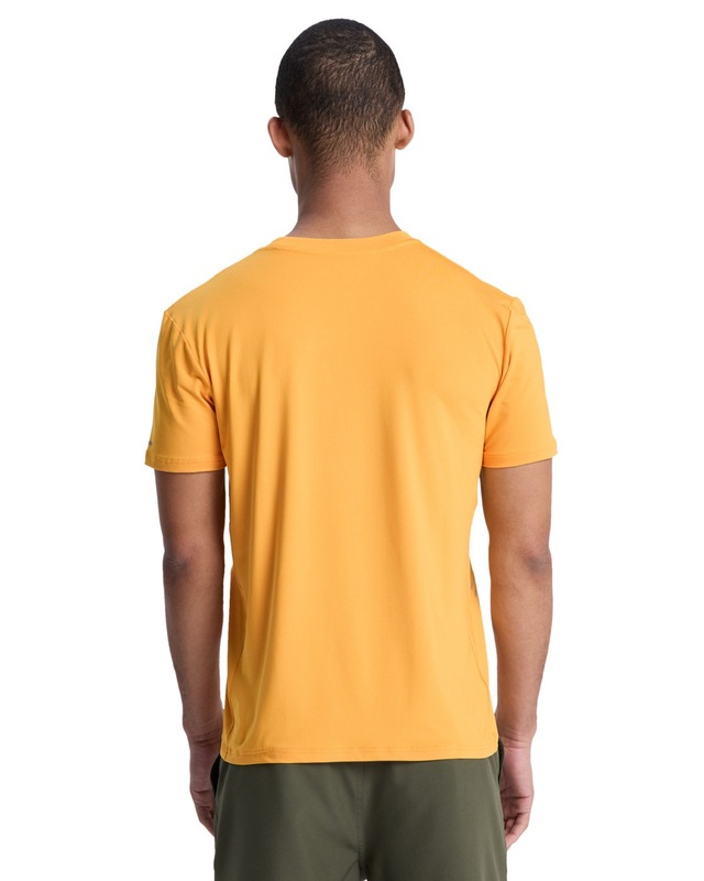 Quiksilver T-Shirt »Caecilian«