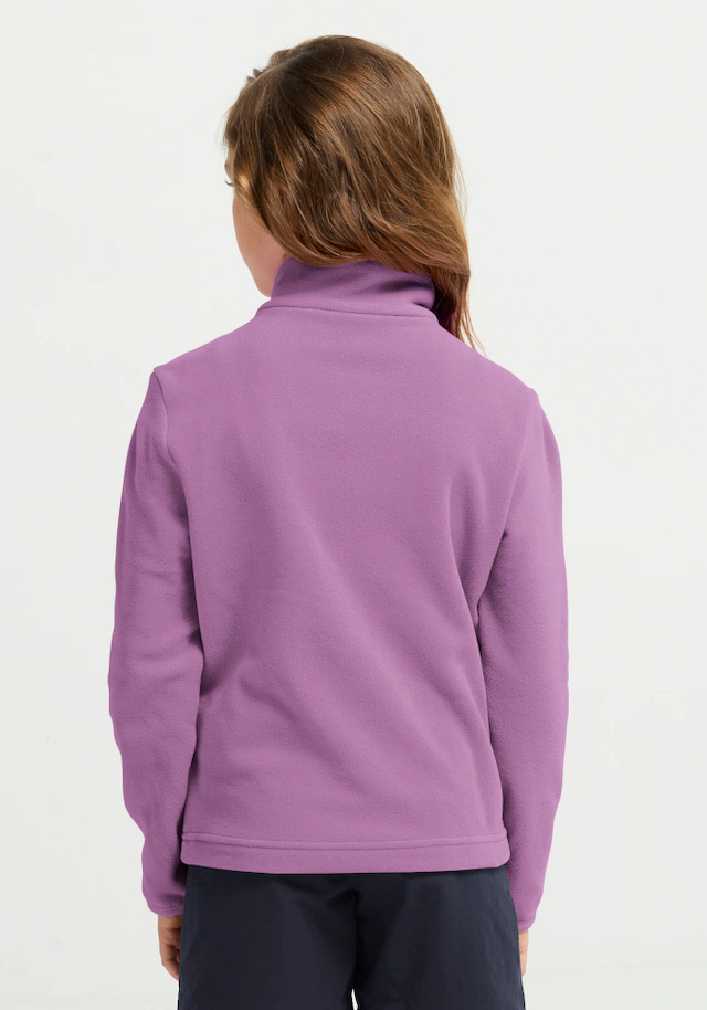 Jack Wolfskin Stehkragenpullover »TAUNUS 100 HZ K« Kinder-Fleecepullover, Halfzip-Reißverschluss, Stehkragen
