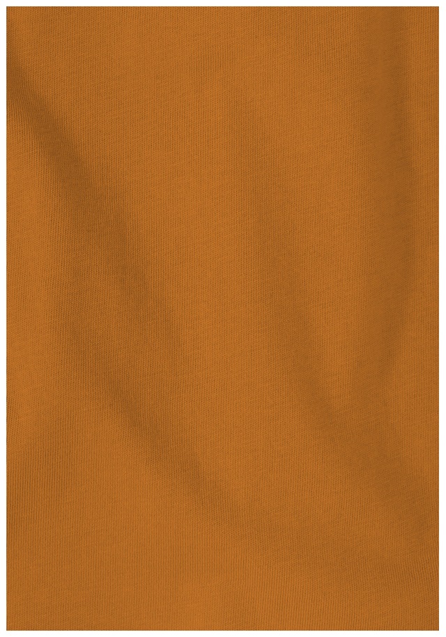 Jack Wolfskin T-Shirt »BRAND T M« T-Shirt aus Bio-Baumwolle, hoher Tragekomfort, großer Logo-Aufdruck
