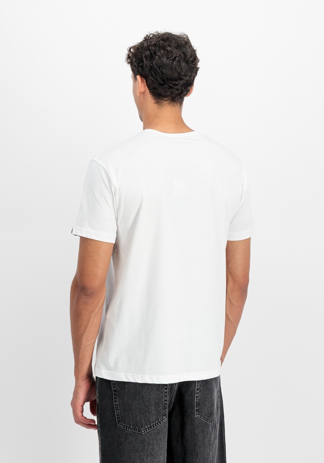 Alpha Industries T-Shirt »DTM Contractor T-Shirt«