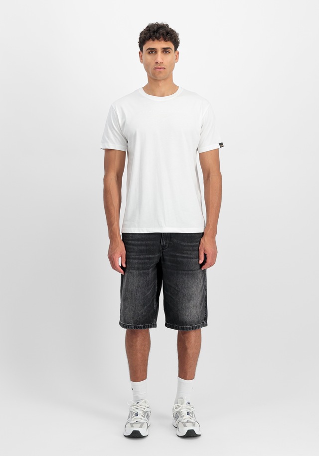 Alpha Industries T-Shirt »DTM Contractor T-Shirt«