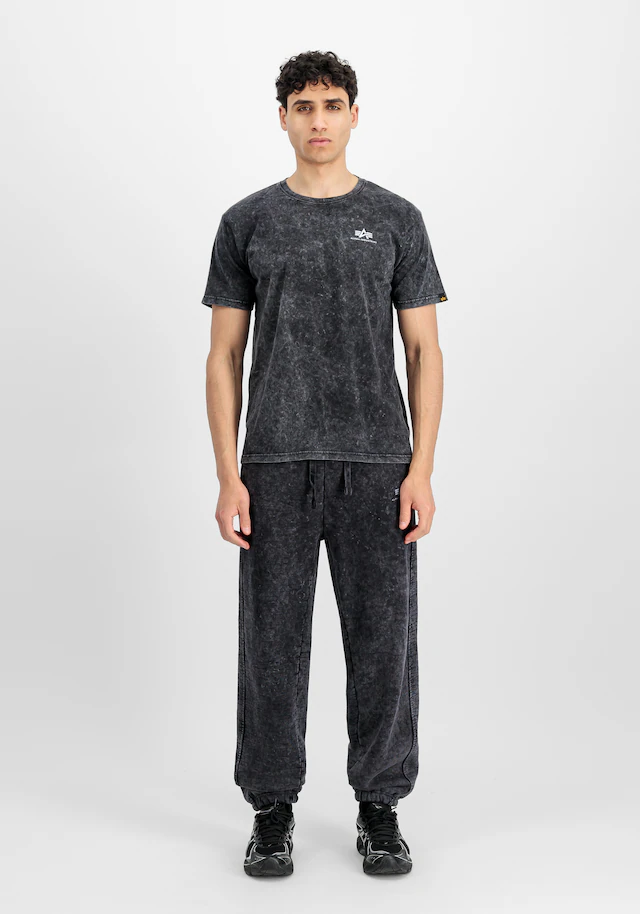 Alpha Industries T-Shirt »Vintage Backprint T-Shirt«