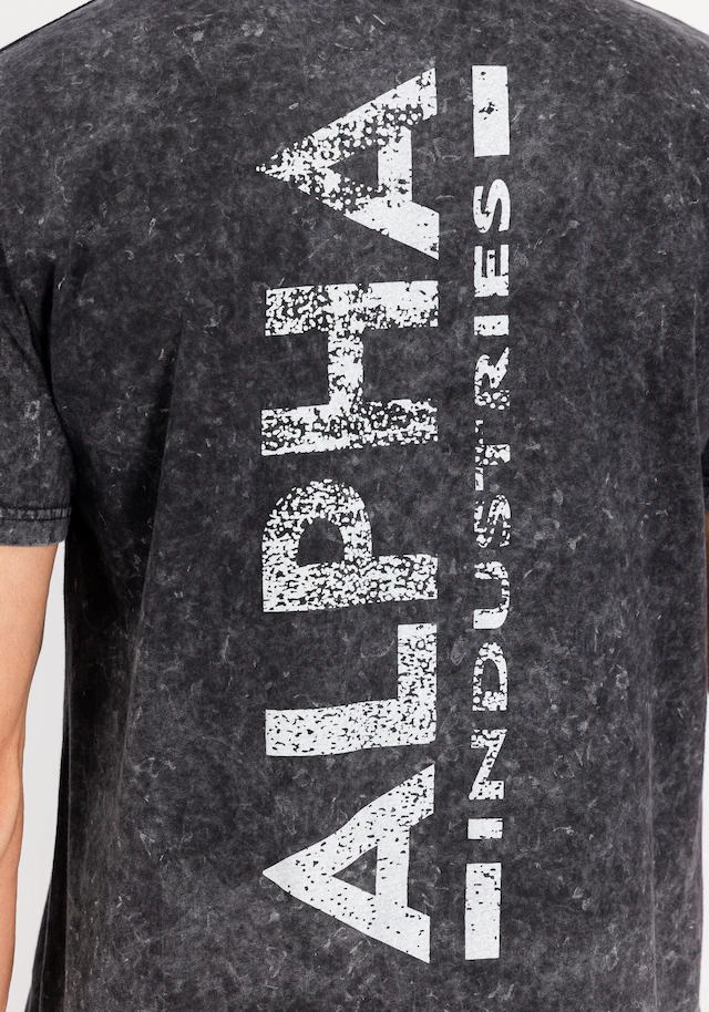 Alpha Industries T-Shirt »Vintage Backprint T-Shirt«