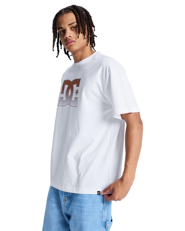 DC Shoes T-Shirt »DC Star Oxidized«