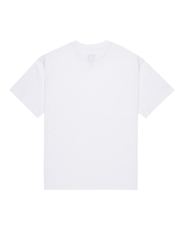 DC Shoes T-Shirt »DC Star Oxidized«
