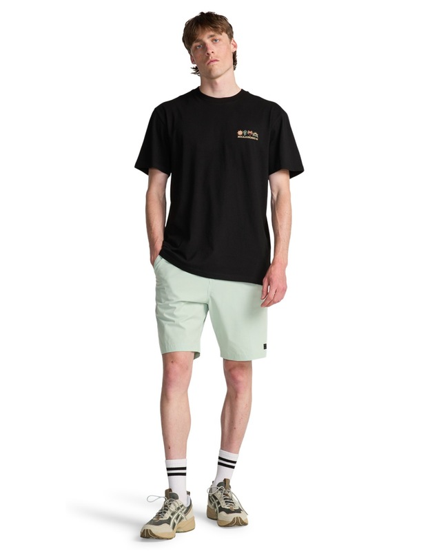 Billabong T-Shirt »Segment«