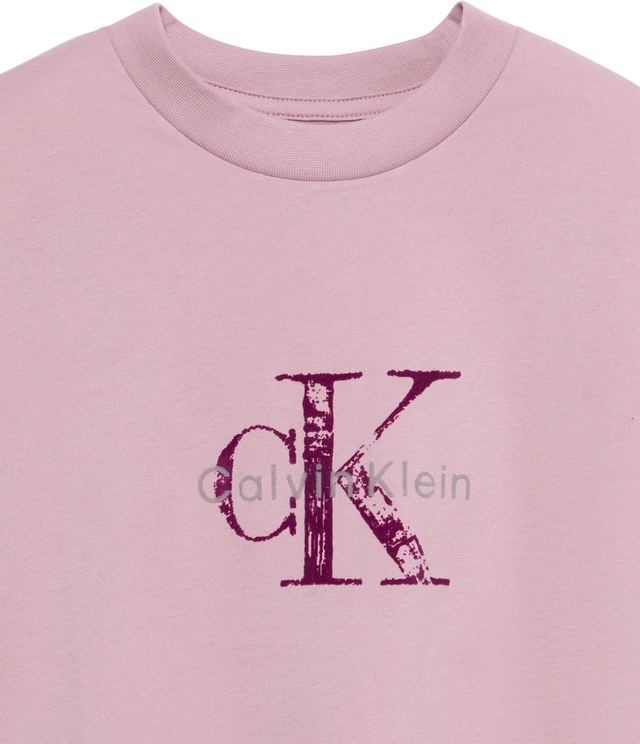 Calvin Klein Jeans T-Shirt »BOXY HAND DRAWN MONOLOGO TEE« Regular fit, Logoschriftzug