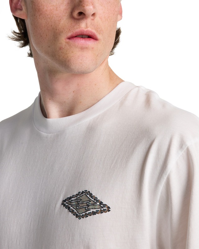Billabong T-Shirt »Crayon Wave«