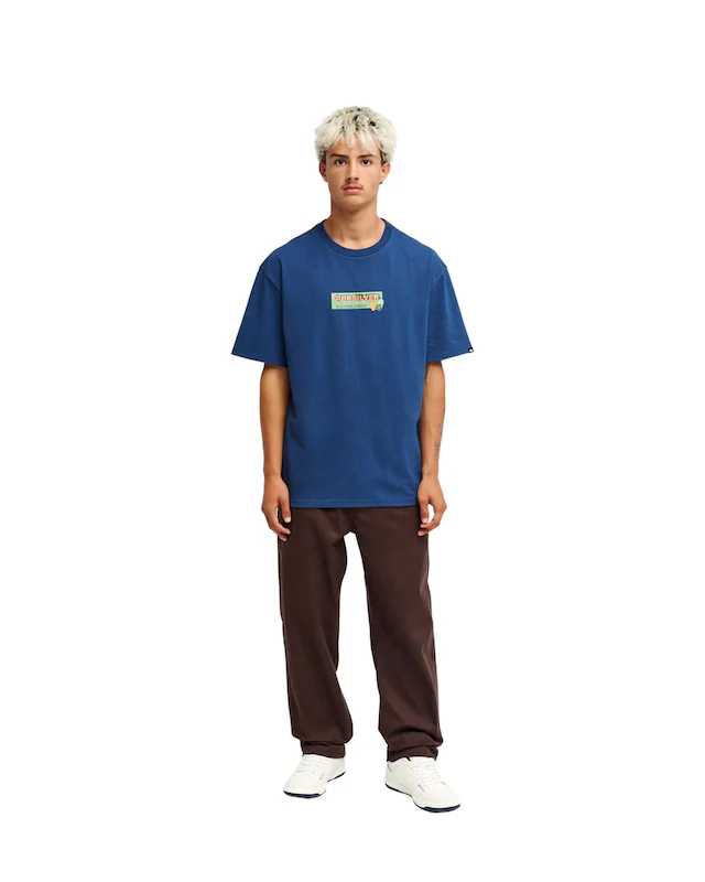 Quiksilver Chinohose »Everyday Union«