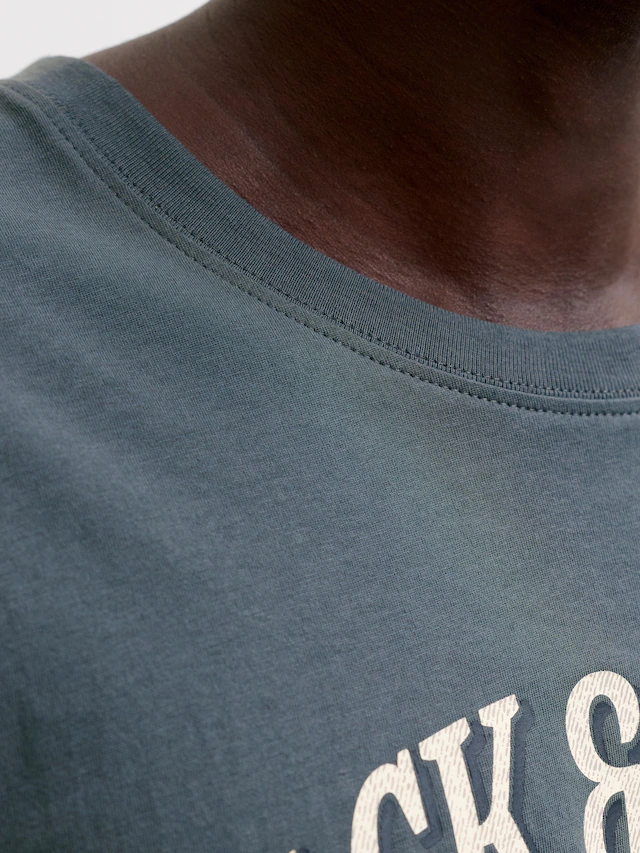 Jack & Jones T-Shirt »JJEDENVER LOGO TEE SS O-NECK SN« Baumwolle, relaxed fit