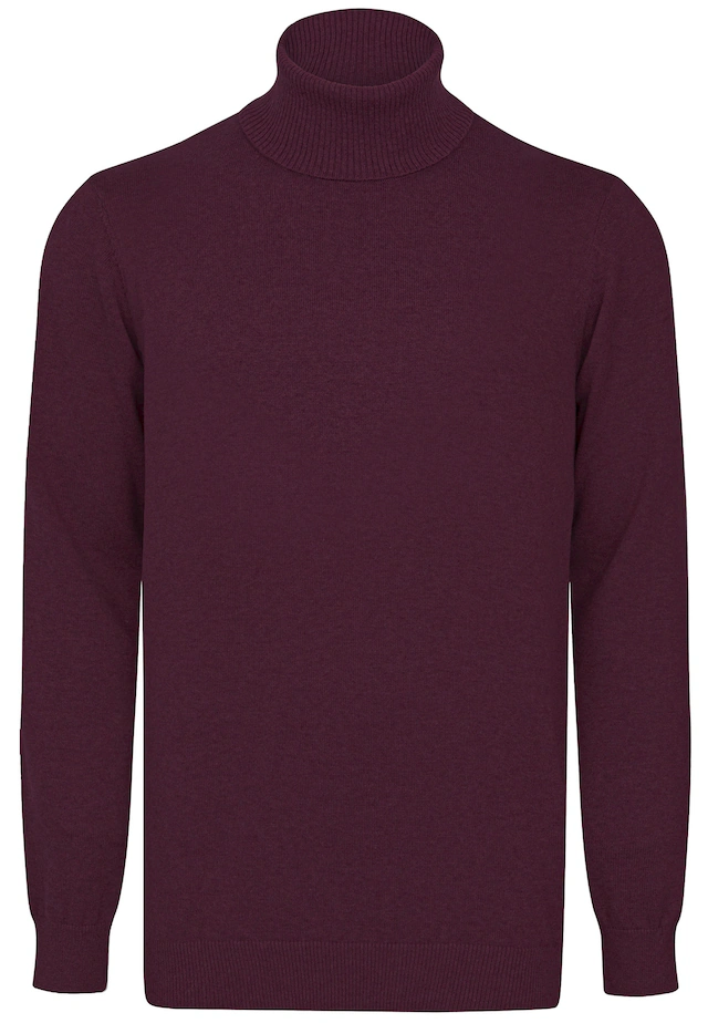 Felix Hardy Rollkragenpullover »Rollkragenpullover 2er-Pack« Set,