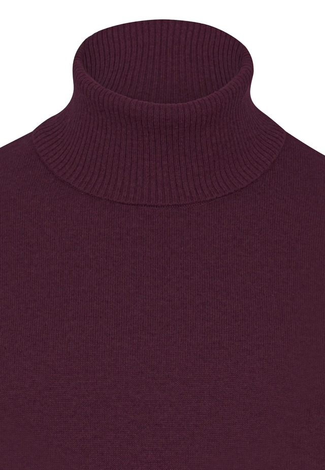 Felix Hardy Rollkragenpullover »Rollkragenpullover 2er-Pack« Set,