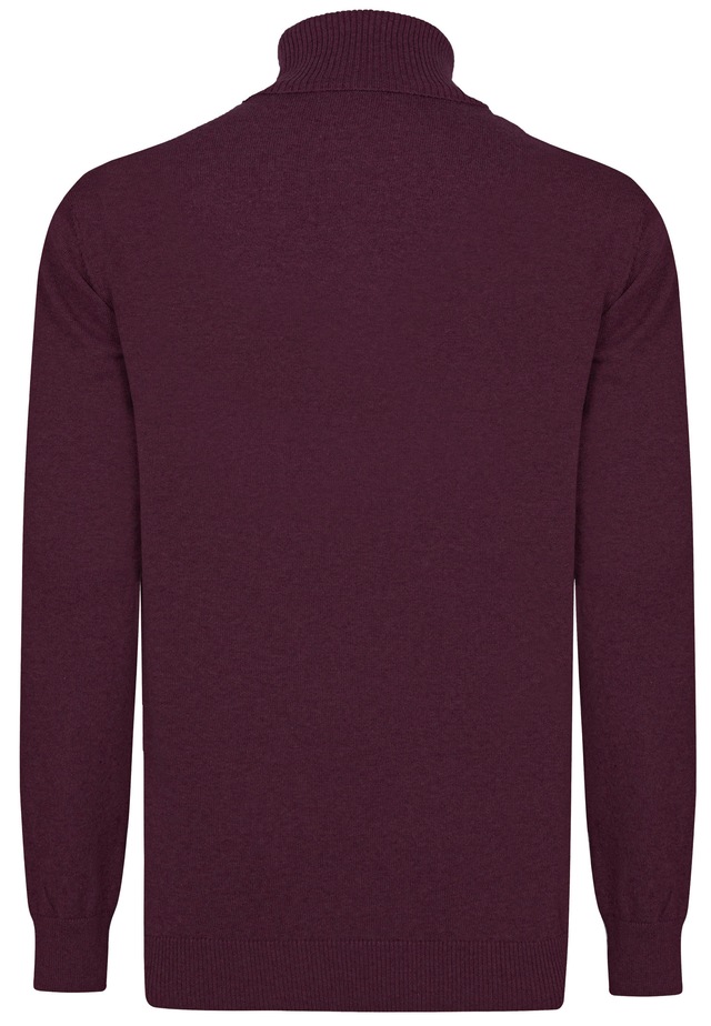 Felix Hardy Rollkragenpullover »Rollkragenpullover 2er-Pack« Set,