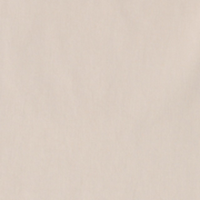 Cecil Culotte High Waist