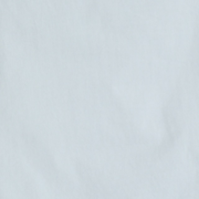Cecil Culotte High Waist
