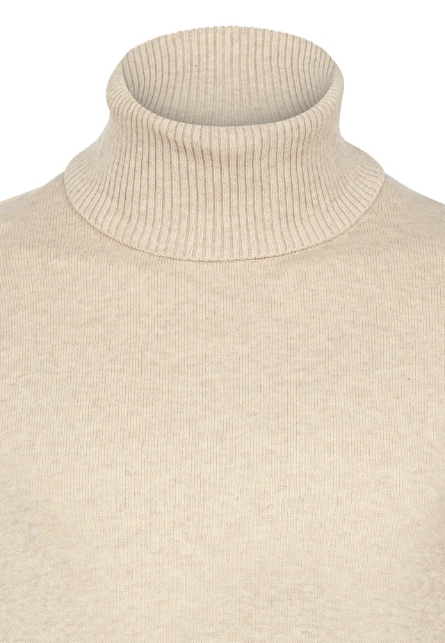 Felix Hardy Rollkragenpullover »Rollkragenpullover 2er-Pack« Set,