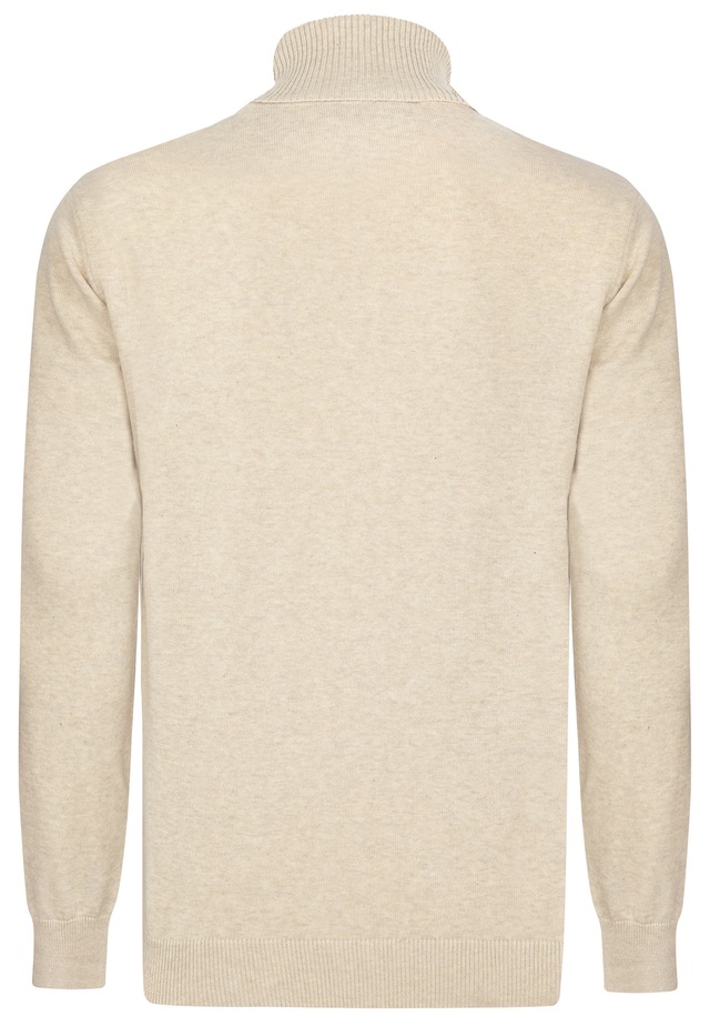 Felix Hardy Rollkragenpullover »Rollkragenpullover 2er-Pack« Set,