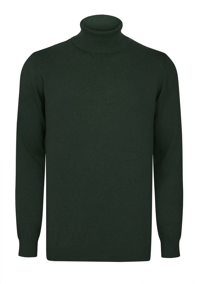 Felix Hardy Rollkragenpullover »Rollkragenpullover 2er-Pack« Set,