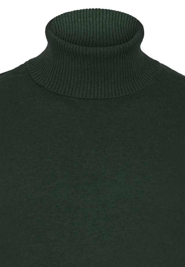 Felix Hardy Rollkragenpullover »Rollkragenpullover 2er-Pack« Set,