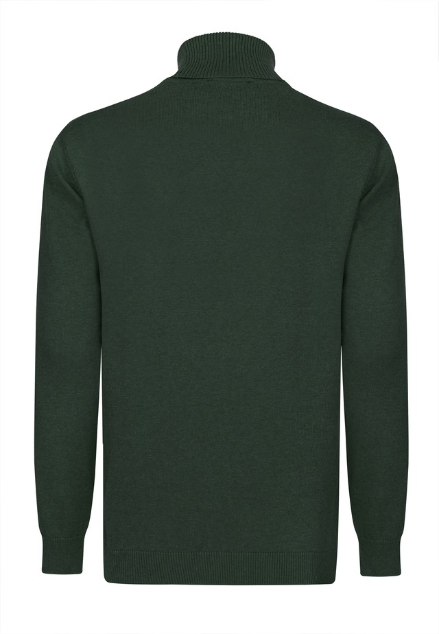 Felix Hardy Rollkragenpullover »Rollkragenpullover 2er-Pack« Set,