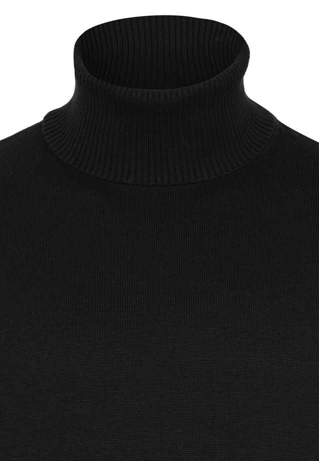 Felix Hardy Rollkragenpullover »Rollkragenpullover 2er-Pack« Set,