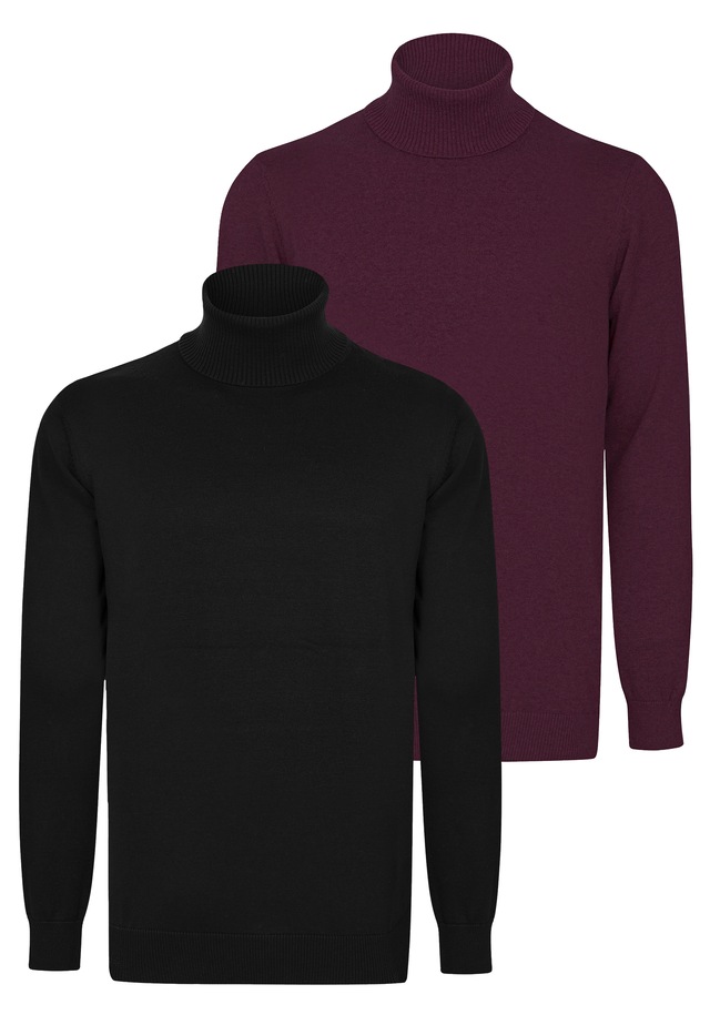 Felix Hardy Rollkragenpullover »Rollkragenpullover 2er-Pack« Set,